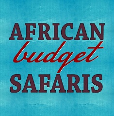 African Adventure blogs 2019 africanbudgetsafaris.com